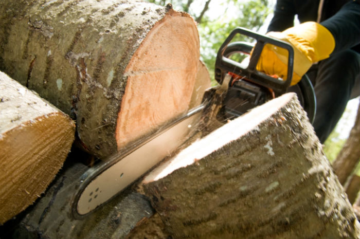 providing stump removal and stump grinding. We want to help you with your future projects in newtown square and chester pa in the near future