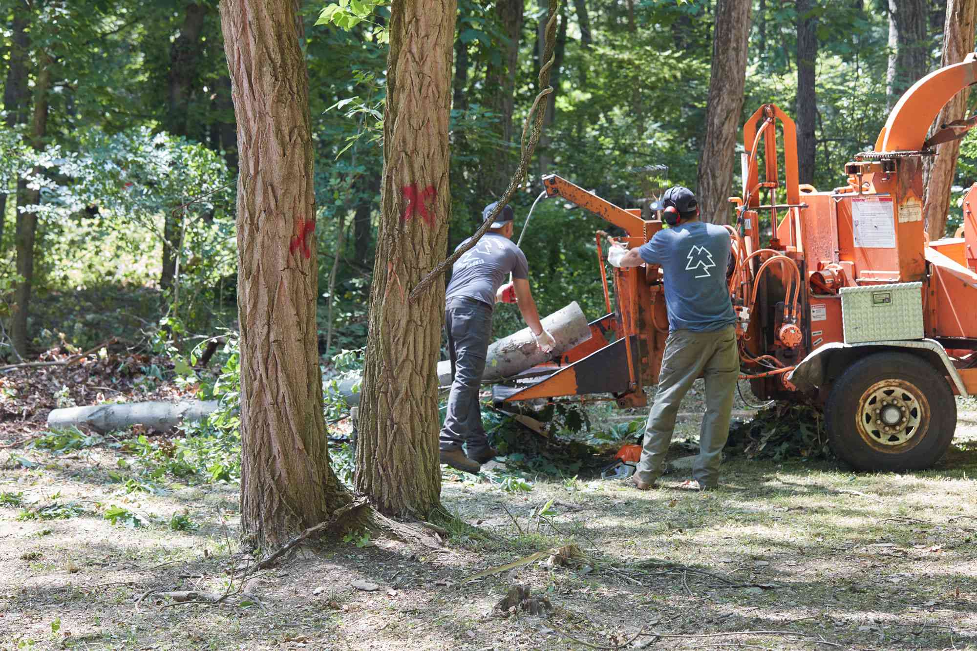 Our tree services in west chester pa are paired with great customer service