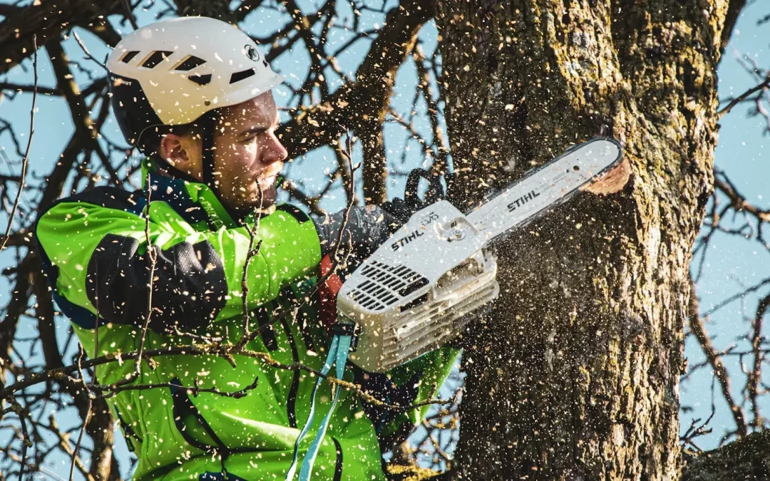 Tree Pruning Chester County. Professional tree services here in Pennsylvania.