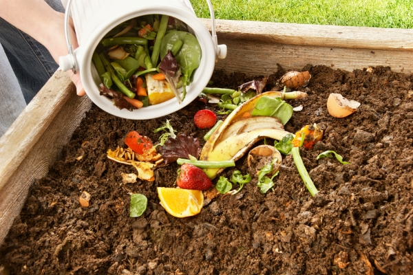 Composting kitchen scraps to enrich soil health for tree growth.
