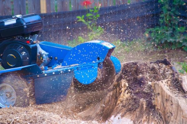 Advanced Stump Grinding Techniques for Frazer Homeowners