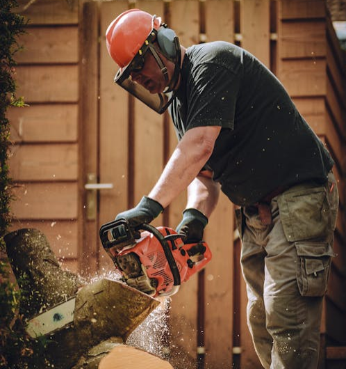 How to Hire a Professional Tree Removal Service