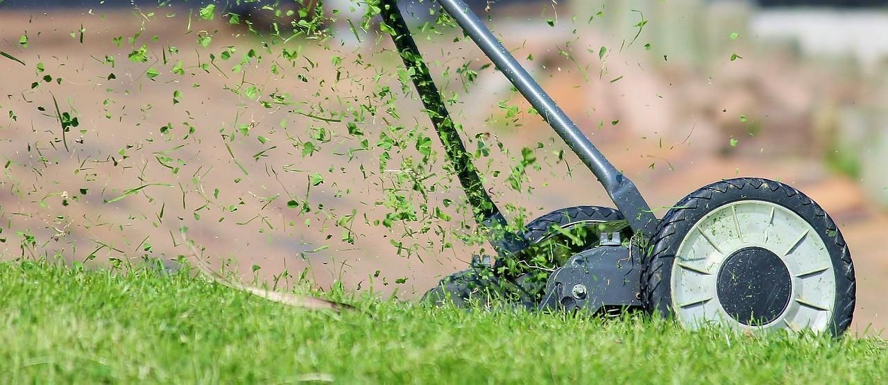 A lawn mower trimming a vibrant green lawn.