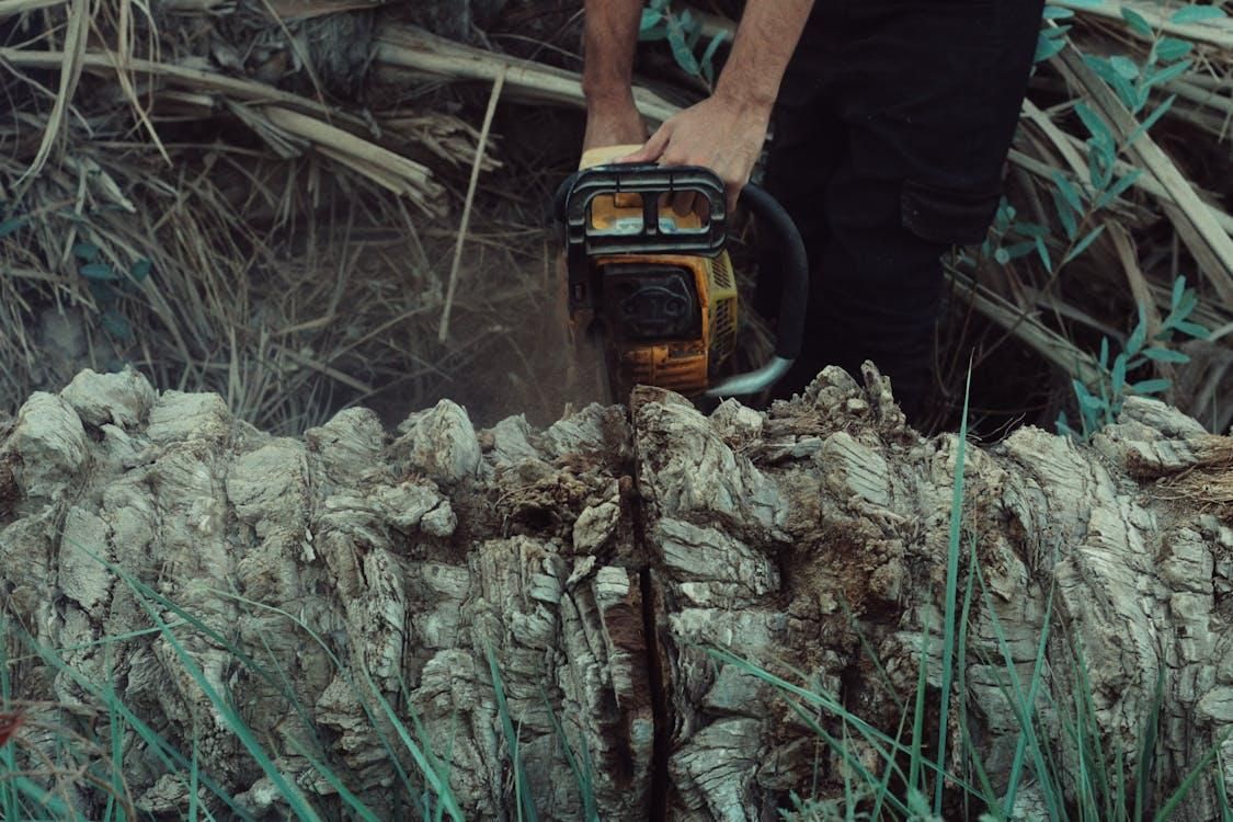 Cutting up a felled tree with a chainsaw.