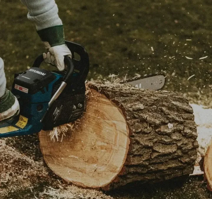 Tree Removal in West Goshen: What to Expect and How to Prepare